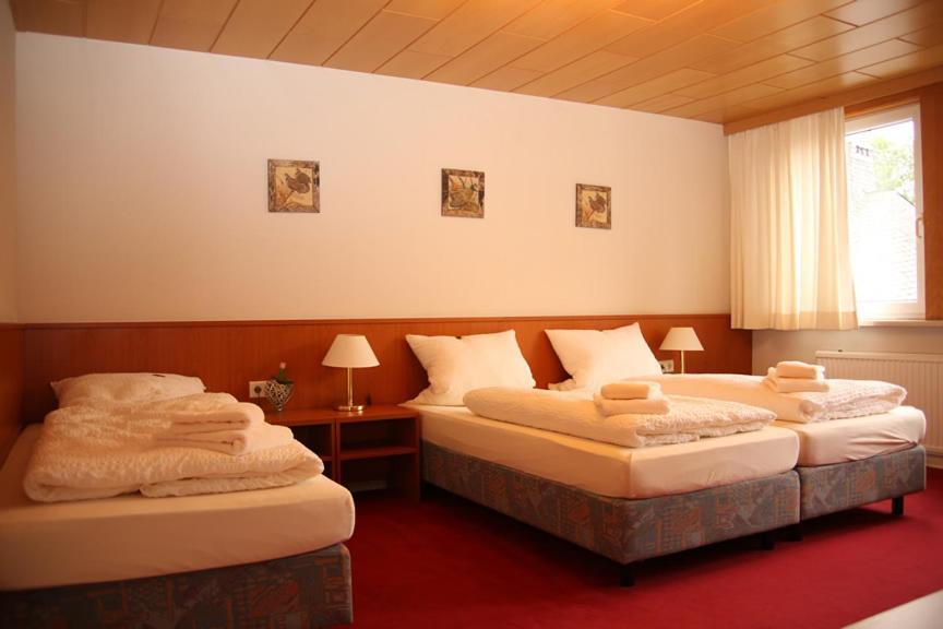 Hotel Garni Kaiserpfalz Goslar Luaran gambar